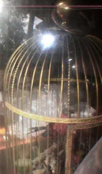 Ormolu Bird Cage Automation - Taxidermy Singing Bird