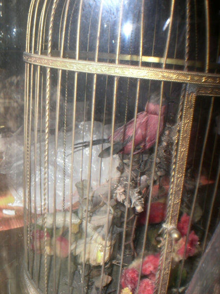Ormolu Bird Cage Automation - Taxidermy Singing Bird
