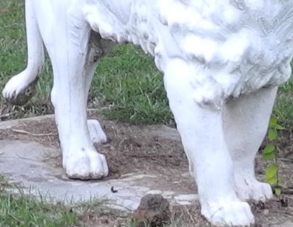 Magnificent Pair of Antique Life- Size Lion Statues in Cast Iron, , Statues, Deep South Antiques